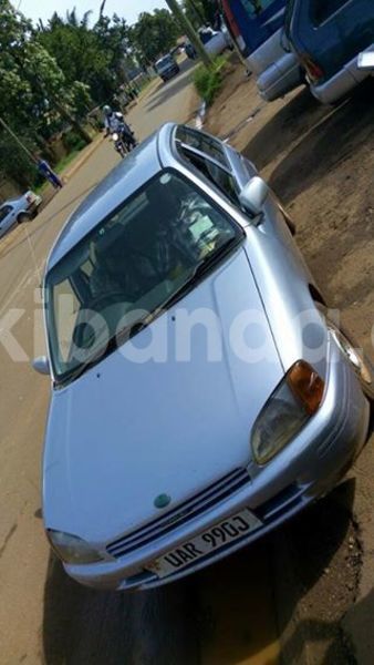 Big with watermark 17795701 10206966928850318 4670280897170890025 n