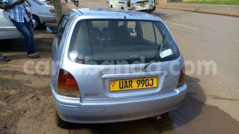 Big with watermark 17796439 1315154081906354 3590367499681648485 n