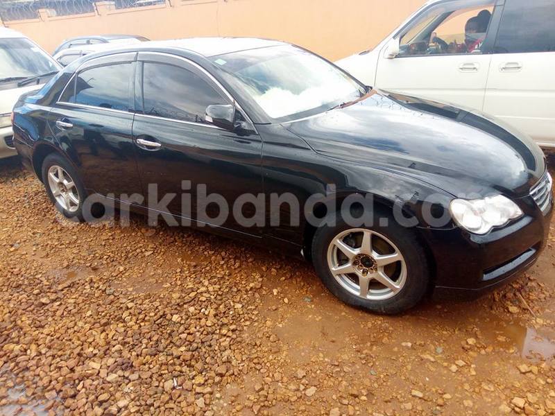 Big with watermark 17795701 10206966928850318 4670280897170890025 n