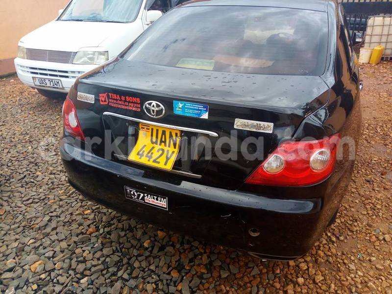 Big with watermark 17796439 1315154081906354 3590367499681648485 n