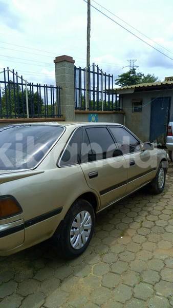 Big with watermark 18301895 1808353289482442 4911772228667514889 n