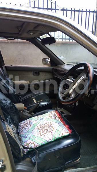 Big with watermark 18342372 1808353249482446 5273746103218881054 n