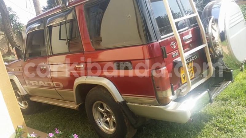 Big with watermark 17796439 1315154081906354 3590367499681648485 n