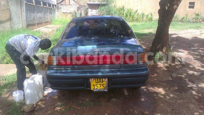 Big with watermark 17796439 1315154081906354 3590367499681648485 n