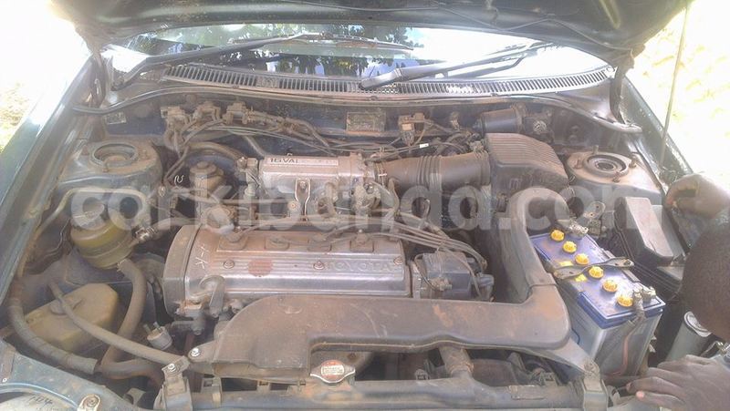 Big with watermark 17796789 902716609870218 4521974656185205947 n