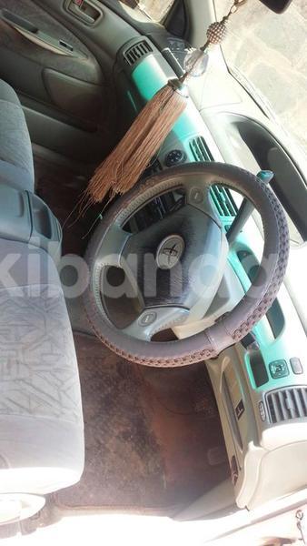 Big with watermark 17796439 1315154081906354 3590367499681648485 n