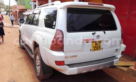 Buy Used Toyota Hilux Surf White Car in Kampala in Uganda Buy Used Toyota Hilux Surf White Car in Kampala in Uganda