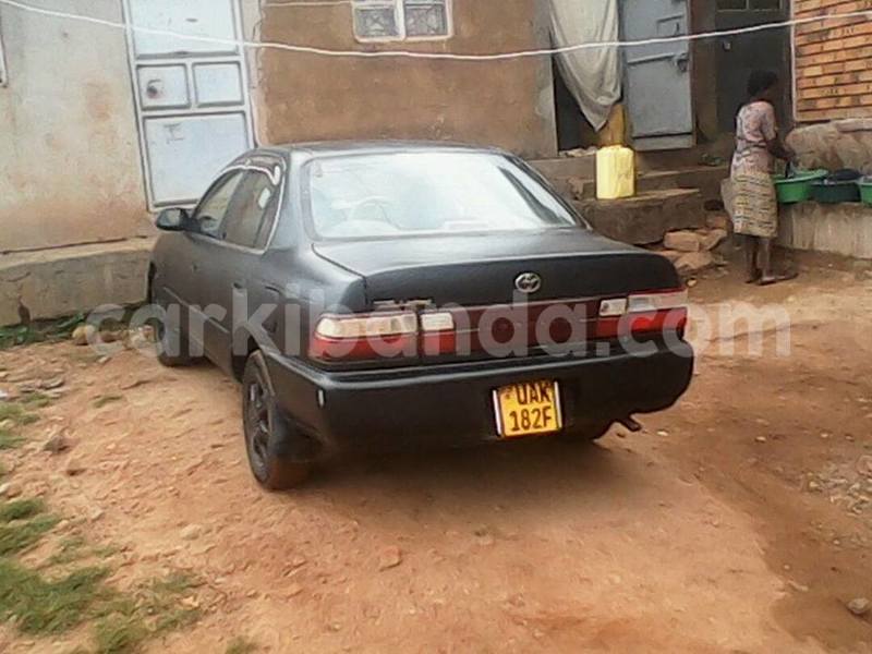 Big with watermark 17796439 1315154081906354 3590367499681648485 n