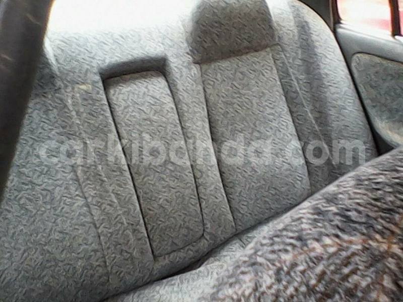 Big with watermark 17796789 902716609870218 4521974656185205947 n