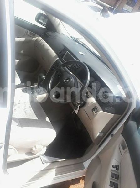 Big with watermark 18403338 1122273154544289 4506059897156786480 n