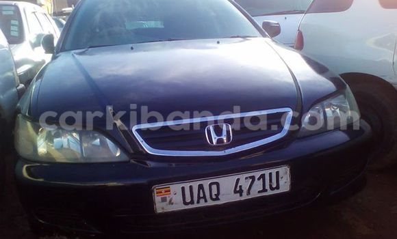 Buy Used Honda Accord Black Car in Kampala in Uganda Buy Used Honda Accord Black Car in Kampala in Uganda