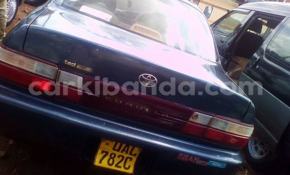 Buy Used Toyota Corolla Blue Car in Kampala in Uganda Buy Used Toyota Corolla Blue Car in Kampala in Uganda