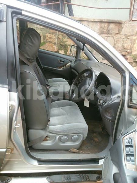 Big with watermark 17796439 1315154081906354 3590367499681648485 n