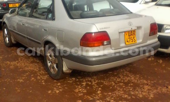 Acheter Occasion Voiture Toyota Corolla Autre à Arua, Ouganda Acheter Occasion Voiture Toyota Corolla Autre à Arua, Ouganda