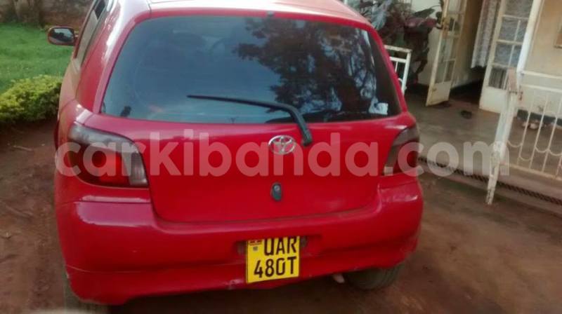 Big with watermark 17796439 1315154081906354 3590367499681648485 n