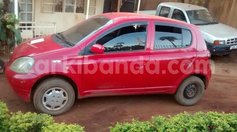 Big with watermark 17795701 10206966928850318 4670280897170890025 n