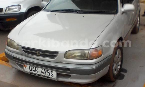 Buy Used Toyota Corolla Other Car in Arua in Uganda Buy Used Toyota Corolla Other Car in Arua in Uganda