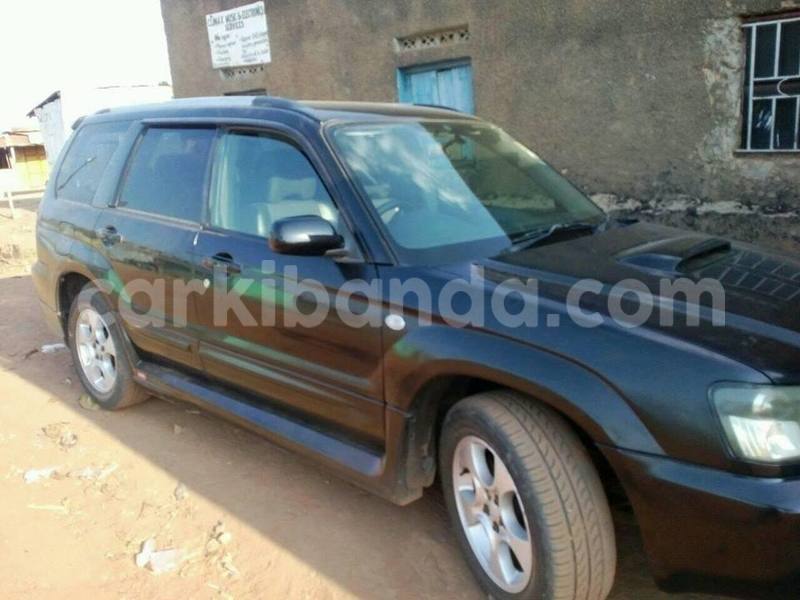 Big with watermark 17796789 902716609870218 4521974656185205947 n