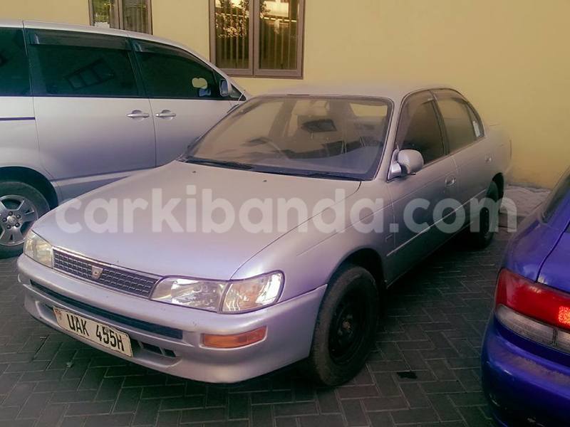 Big with watermark 17796439 1315154081906354 3590367499681648485 n