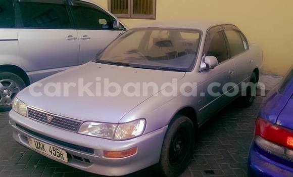 Buy Used Toyota Corolla Silver Car in Kampala in Uganda Buy Used Toyota Corolla Silver Car in Kampala in Uganda