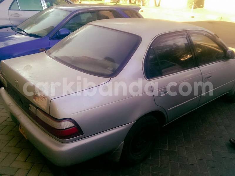 Big with watermark 17796789 902716609870218 4521974656185205947 n