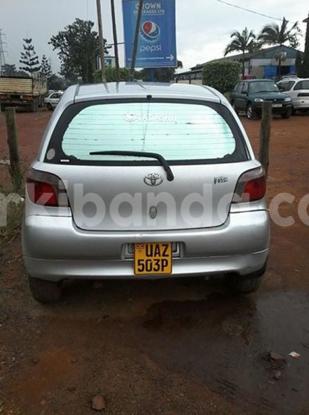 Big with watermark 17795701 10206966928850318 4670280897170890025 n