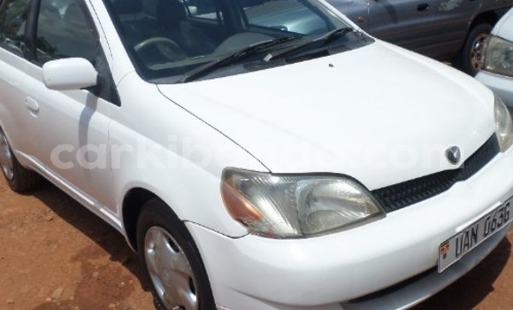 Buy Used Toyota Platz Black Car in Arua in Uganda Buy Used Toyota Platz Black Car in Arua in Uganda