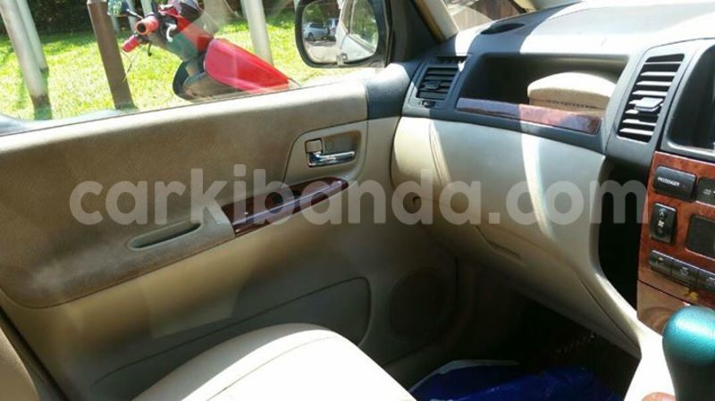 Big with watermark 17796439 1315154081906354 3590367499681648485 n