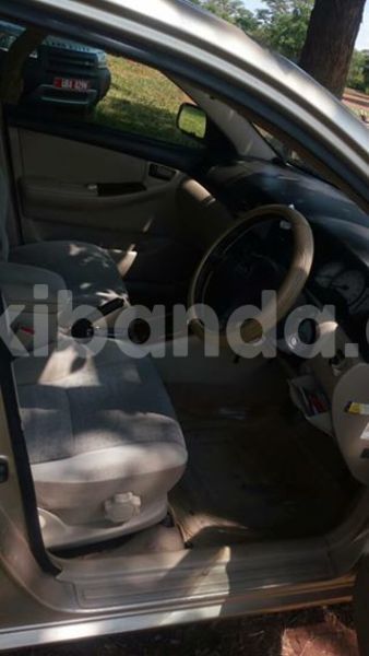 Big with watermark 17796439 1315154081906354 3590367499681648485 n