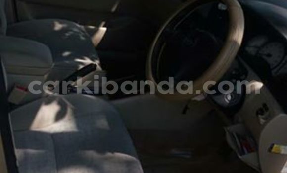 Acheter Occasion Voiture Toyota Allex Gris à Kampala, Ouganda Acheter Occasion Voiture Toyota Allex Gris à Kampala, Ouganda