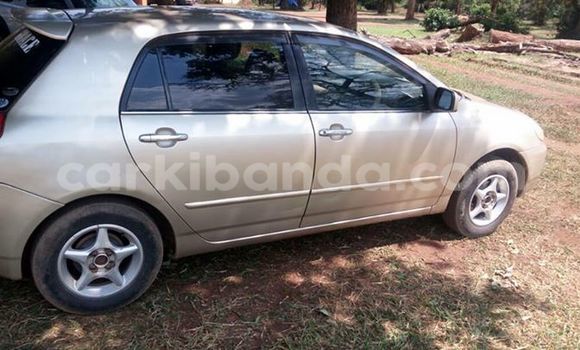 Acheter Occasion Voiture Toyota Allex Gris à Kampala, Ouganda Acheter Occasion Voiture Toyota Allex Gris à Kampala, Ouganda