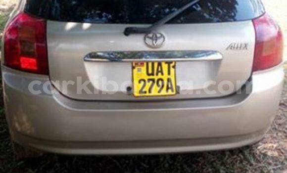 Acheter Occasion Voiture Toyota Allex Gris à Kampala, Ouganda Acheter Occasion Voiture Toyota Allex Gris à Kampala, Ouganda