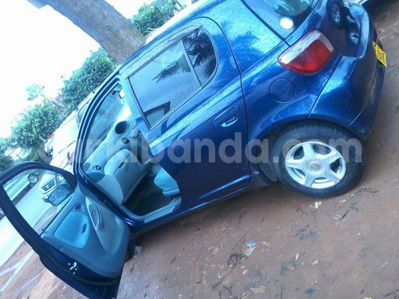 Big with watermark 17795701 10206966928850318 4670280897170890025 n