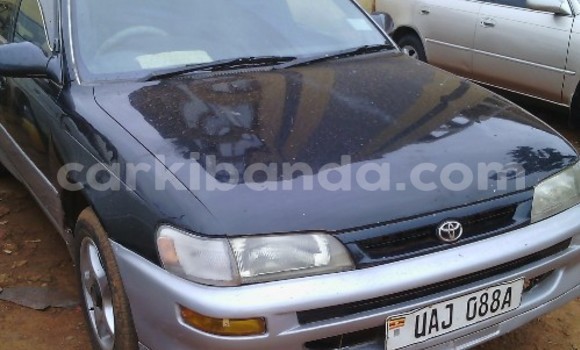 Buy Used Toyota Corolla Black Car in Arua in Uganda Buy Used Toyota Corolla Black Car in Arua in Uganda