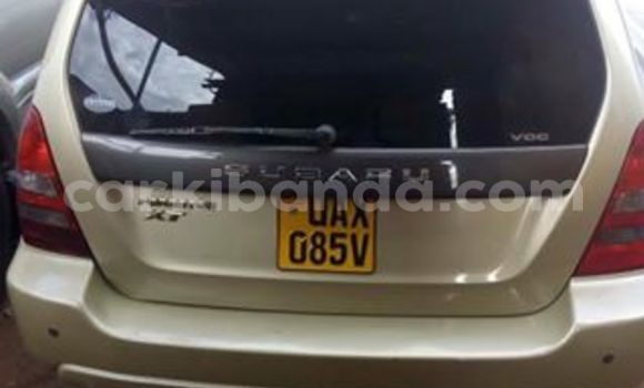 Buy Used Subaru Forester Other Car in Kampala in Uganda Buy Used Subaru Forester Other Car in Kampala in Uganda