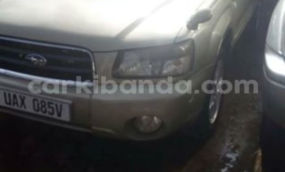 Buy Used Subaru Forester Other Car in Kampala in Uganda Buy Used Subaru Forester Other Car in Kampala in Uganda
