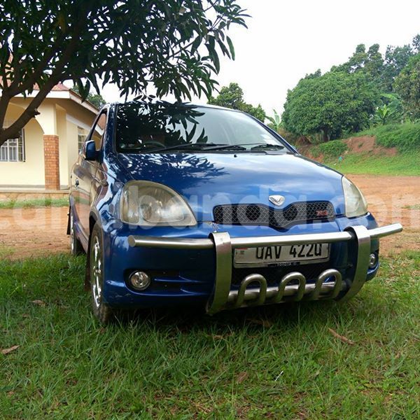 Big with watermark 18952779 709237862582138 3608237861038673941 n