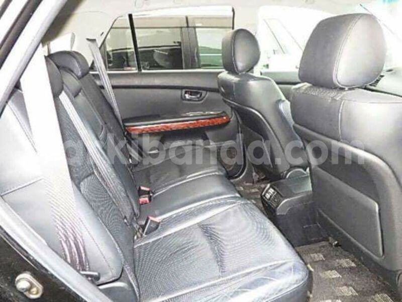 Big with watermark 19030650 709237865915471 5780759566154516871 n