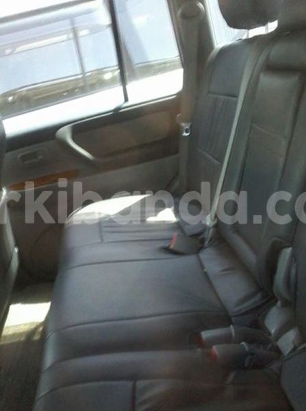 Big with watermark 19030650 709237865915471 5780759566154516871 n