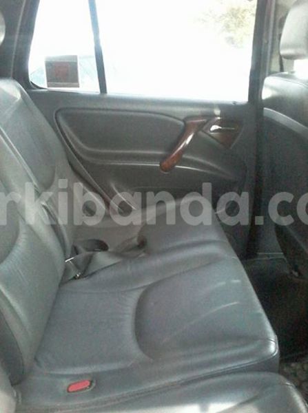 Big with watermark 19030339 709237869248804 8378660185752961642 n