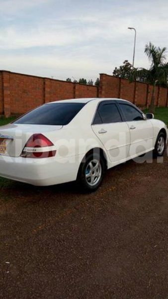 Big with watermark 18952779 709237862582138 3608237861038673941 n