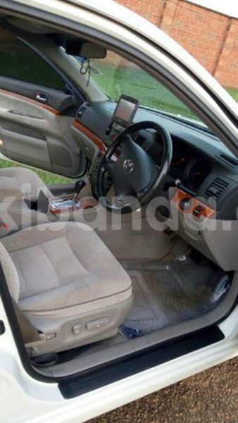 Big with watermark 19030339 709237869248804 8378660185752961642 n