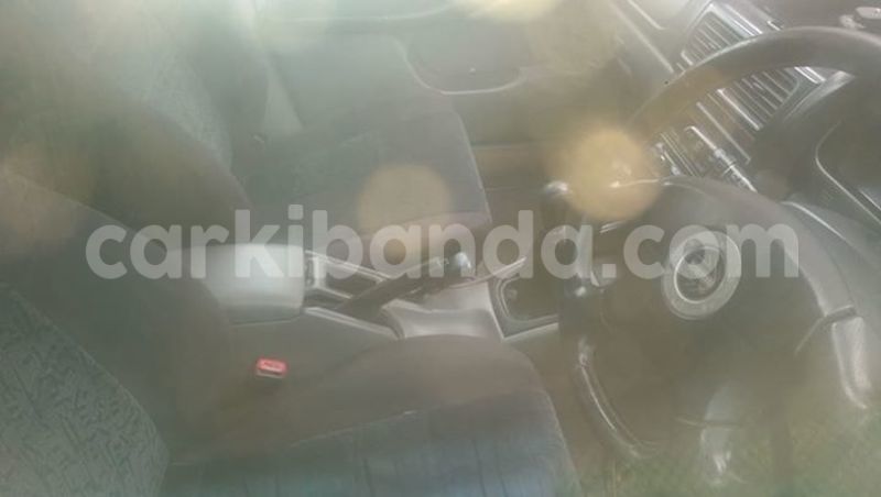 Big with watermark 19030339 709237869248804 8378660185752961642 n