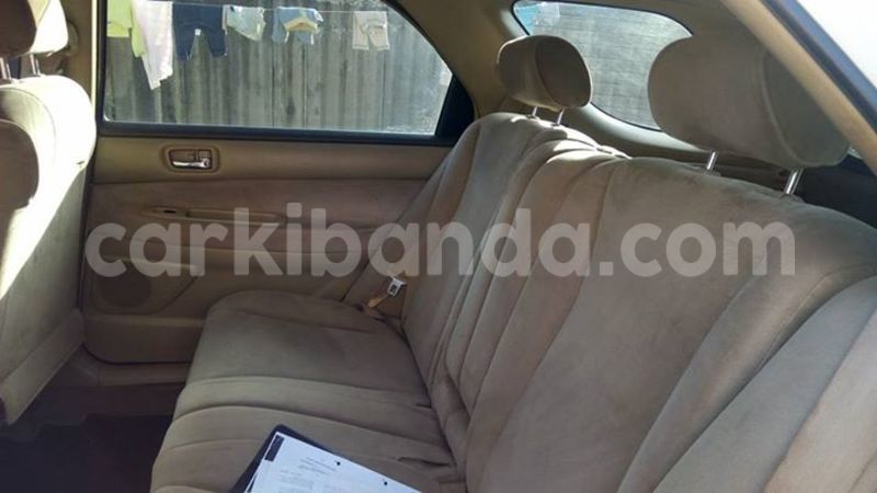 Big with watermark 19030339 709237869248804 8378660185752961642 n