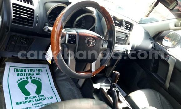 Gura Yakoze Toyota Prado White Imodoka i Busia mu Uganda Gura Yakoze Toyota Prado White Imodoka i Busia mu Uganda