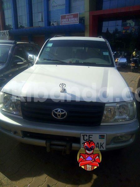 Big with watermark 18952779 709237862582138 3608237861038673941 n