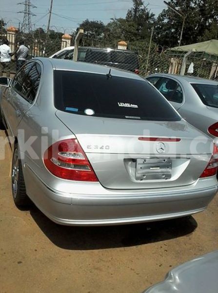 Big with watermark 18954797 10109901822210850 5806381462207131836 o