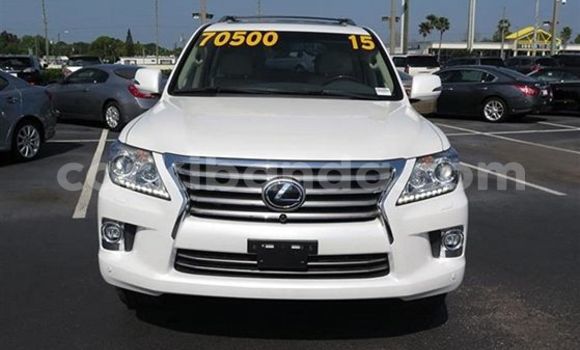 Buy Used Lexus LX White Car in Busia in Uganda Buy Used Lexus LX White Car in Busia in Uganda
