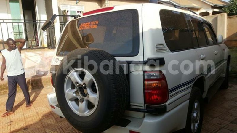 Big with watermark 18954797 10109901822210850 5806381462207131836 o