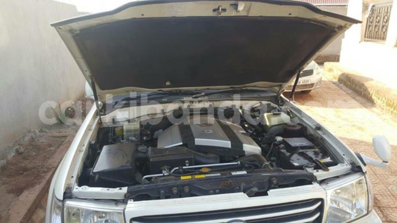 Big with watermark 19030650 709237865915471 5780759566154516871 n